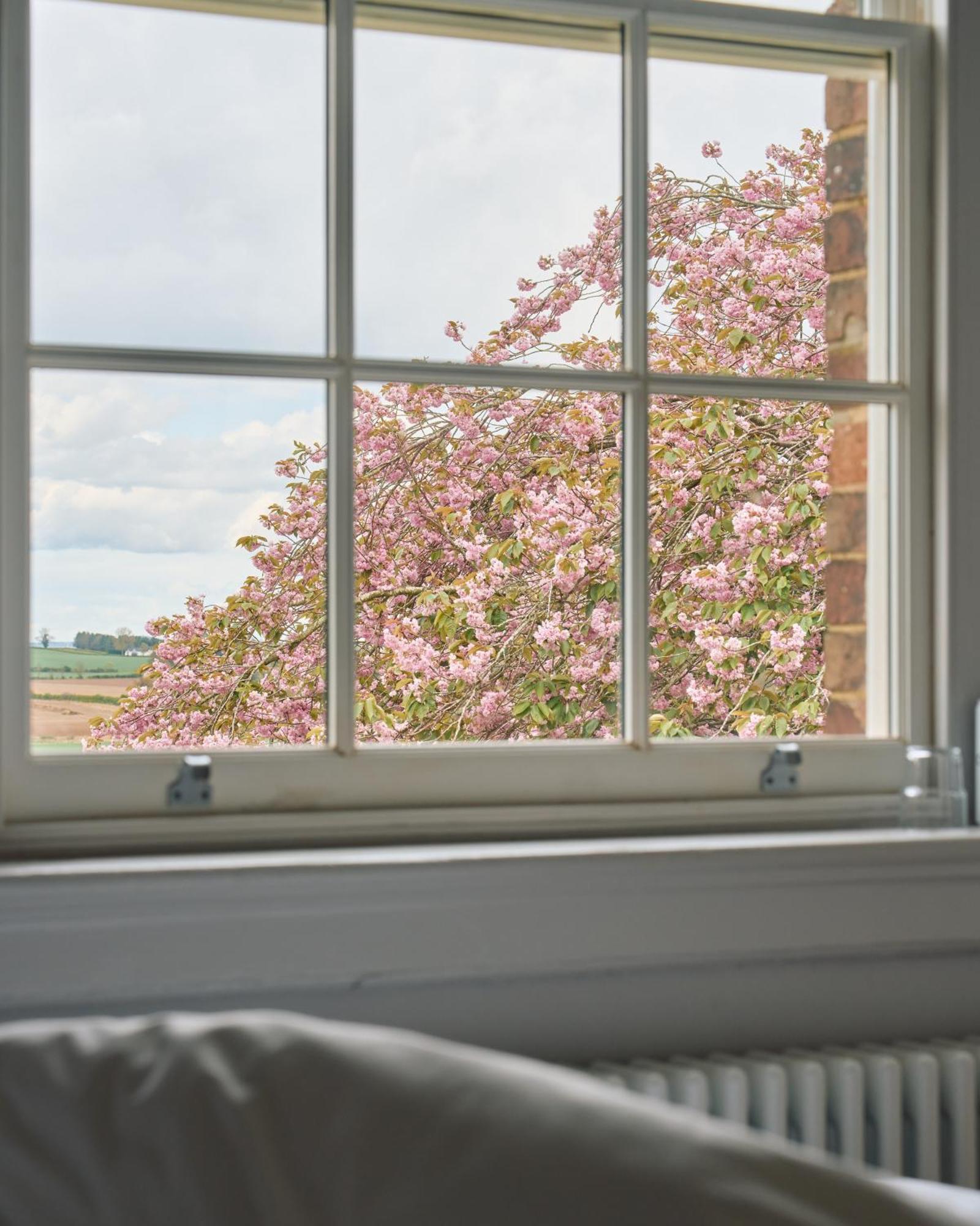 Constantine House Hotel Tamworth Buitenkant foto